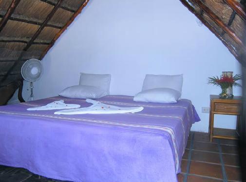 La Rana Cansada Hotel Playa del Carmen Ngoại thất bức ảnh